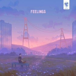 Feelings