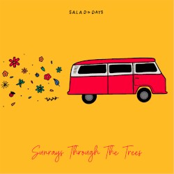 Sunrays Through the Trees