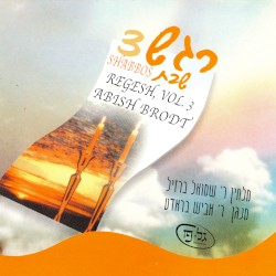 Regesh, Vol. 3 - Shabbos