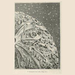 Il distinguait tout cela