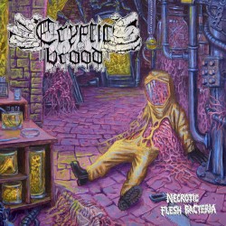 Necrotic Flesh Bacteria