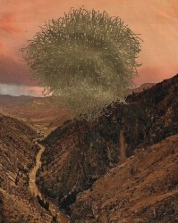 𝔪𝔬𝔲𝔫𝔱 𝔩𝔩