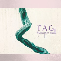 Synapse wall