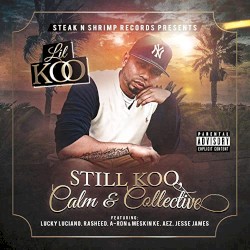 Still Koo, Calm & Collective