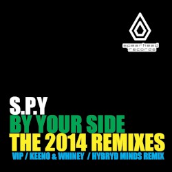 By Your Side (The 2014 Remixes)