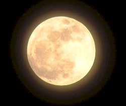 Moonglow