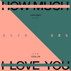 How Much I Love You