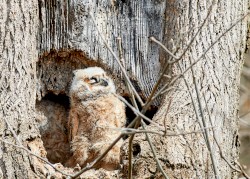 I Explore You, Like You Explore Me