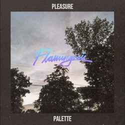 Pleasure Palette
