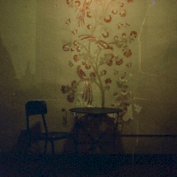 are u ok?