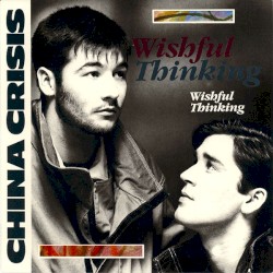 Wishful Thinking