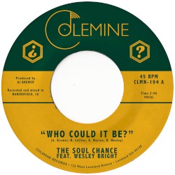 Who Could It Be? / Goodbye