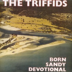 Born Sandy Devotional