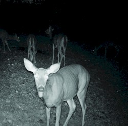 The Power Does Not Work in the Presence of Nonbelievers