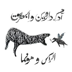 Adam, Darwin & the Penguin