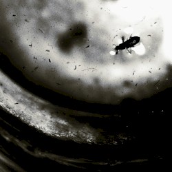 Nothing Will Ever Be The Same