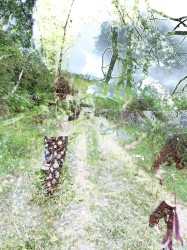 Freeroam 188 :: Three Times We've Been Freed XIX -- "lorewalk"