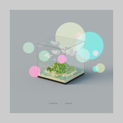 Seagull (Stereo ver.)