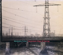 Ravha | Electricity Gardens