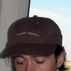 It's Ok It's Just a Phase