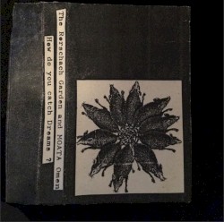 How Do You Catch Dreams?