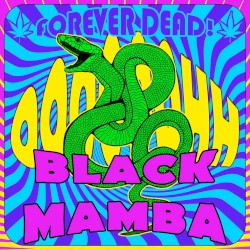 Black Mamba (radio edit)