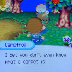 carpets?!