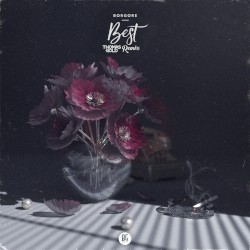 Best (Thomas Gold remix)
