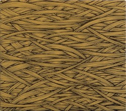 In the Absence of Truth