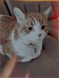 glowing and growing in the dark