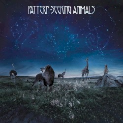 Pattern‐Seeking Animals