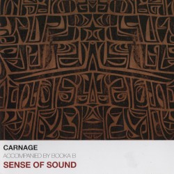 Sense of Sound