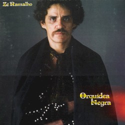 Orquídea negra