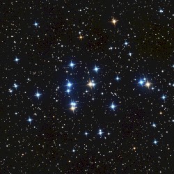 M44