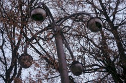 кто скоро станет невидимым ?