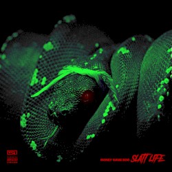 Slatt Life