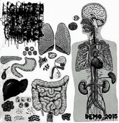 Demo 2015