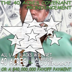 THE 4O ACRES COVENANT PRONOUNCEMENT:ALL U.S. BLACKS WILL GET 40 ACRES & A MULE COVENANT OR A $4,000,000 To $40,000,000 PAYOFF PAYMENT