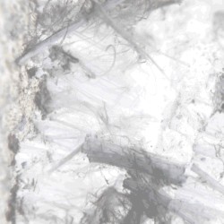 Asbestos Exposure