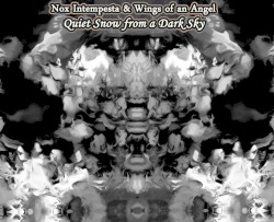 Quiet Snow From a Dark Sky