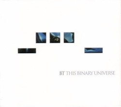 This Binary Universe
