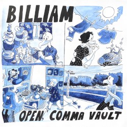 Open Comma Vault