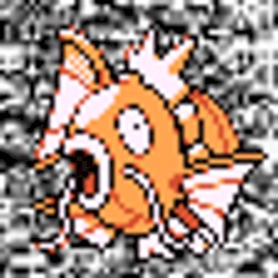#129 ~ Magikarp