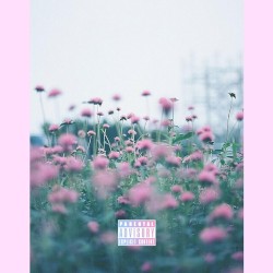 Love Is Still Awesome