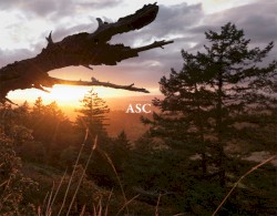 The Light That Burns Twice As Bright