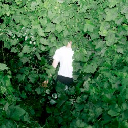 Midnight in Westlake