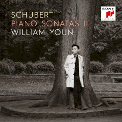 Piano Sonatas II