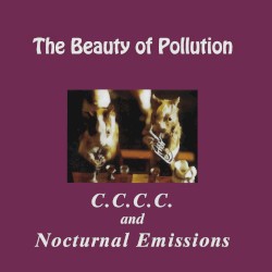 The Beauty of Pollution