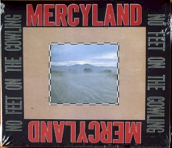 No Feet on the Cowling