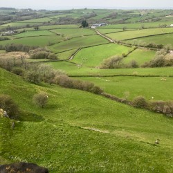 Best Mamgu Ever (Wales in Japan)